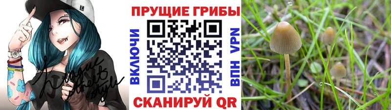 Галлюциногенные грибы MAGIC MUSHROOMS  сколько стоит  Мирный 